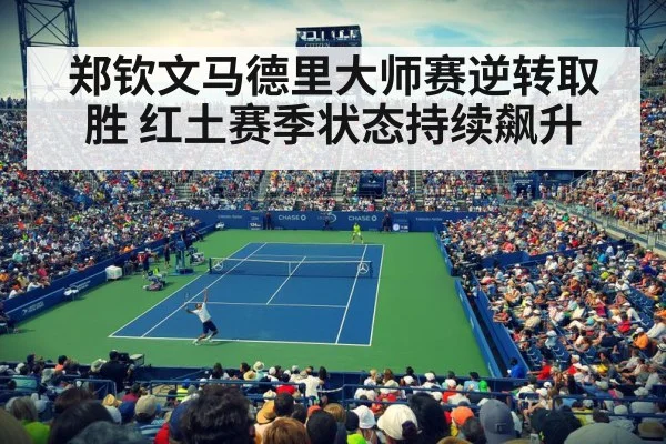 professional tennis match